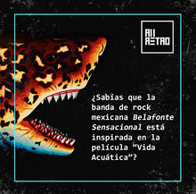 Cargar imagen en el visor de la galería, Datos Ñoñazos