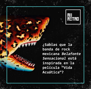 Datos Ñoñazos