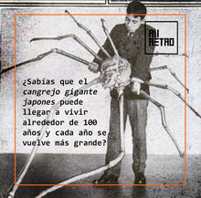 Cargar imagen en el visor de la galería, Datos Ñoñazos