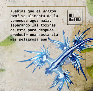 Datos Ñoñazos